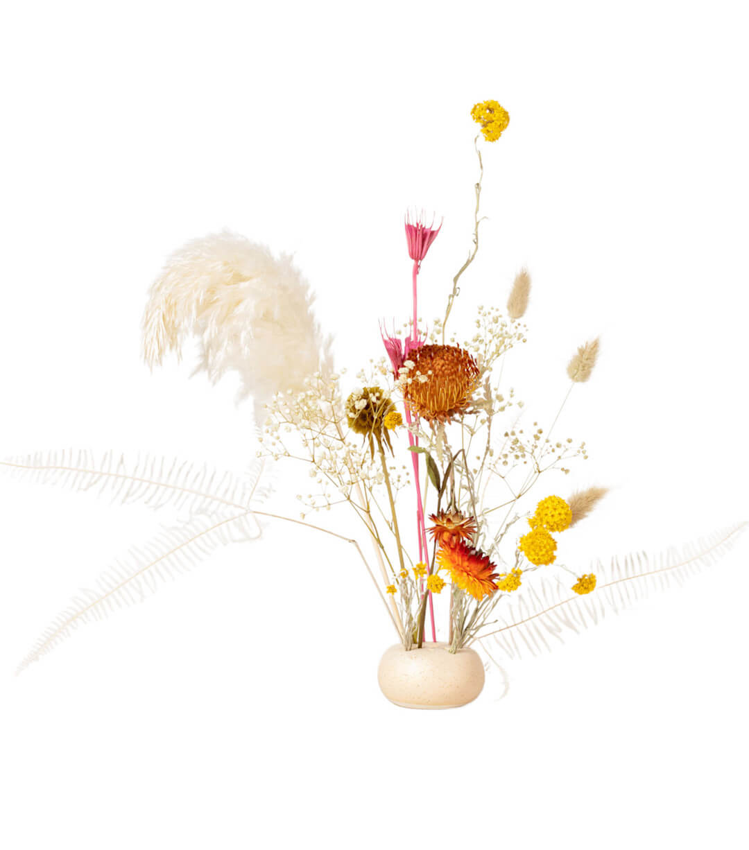 Preserved and dried flowers from Shida Preserved Flowers