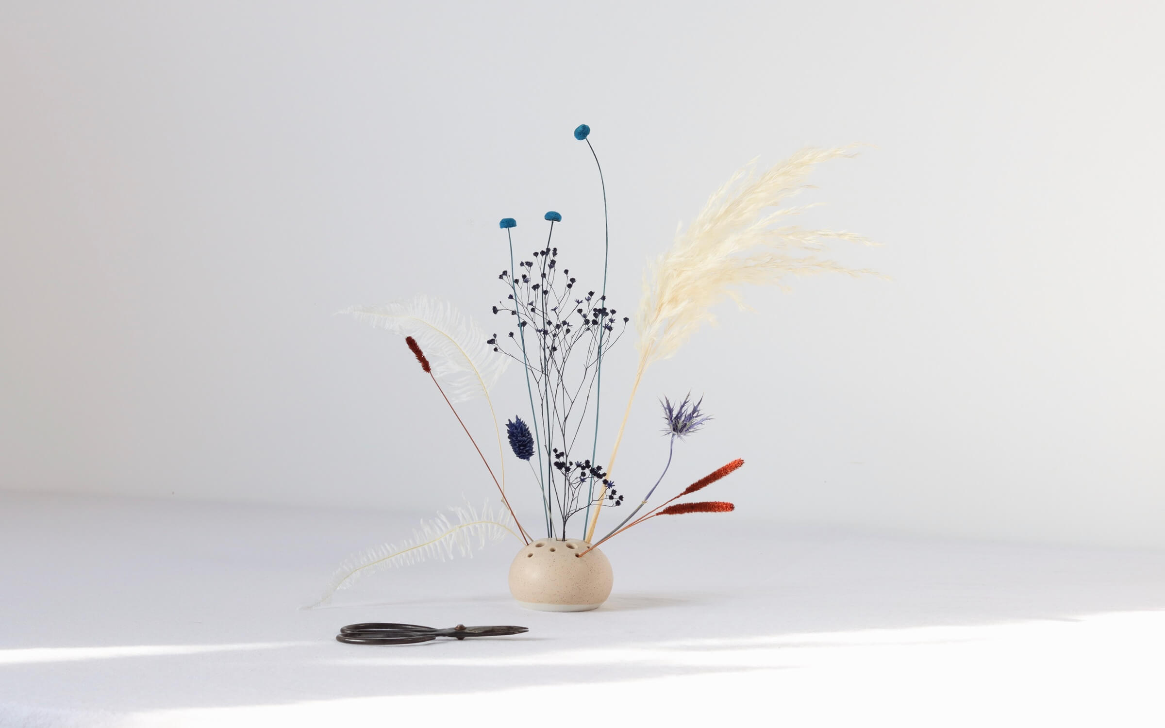 Preserved and dried flowers from Shida Preserved Flowers